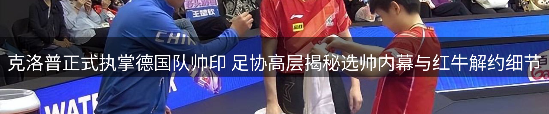 新闻动态