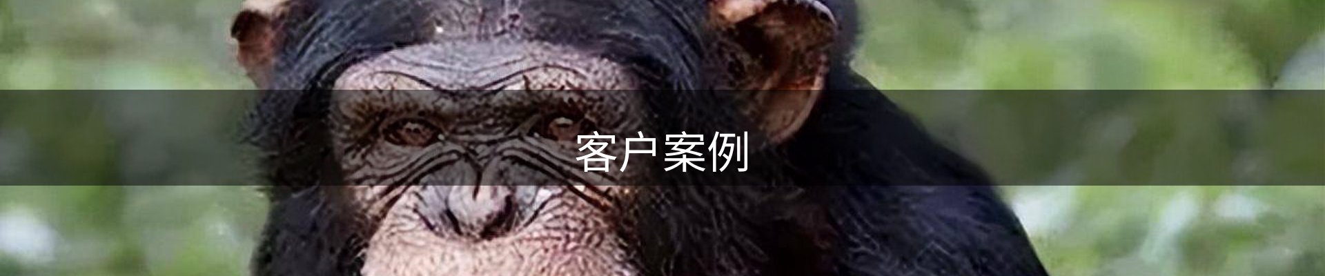 客户案例